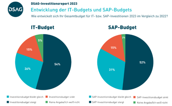 Development of the IT and SAP budgets