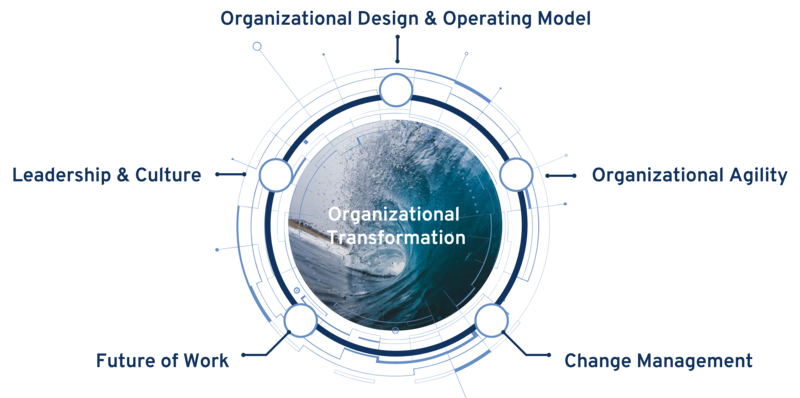 [Translate to English:] Organizational Transformation Portfolio