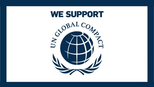 AdEx Partners and the UN Global Compact Statement 2023