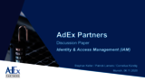 The AdEx Partners “IAM Flyer”