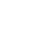 AdEx Partners logo in black and white.