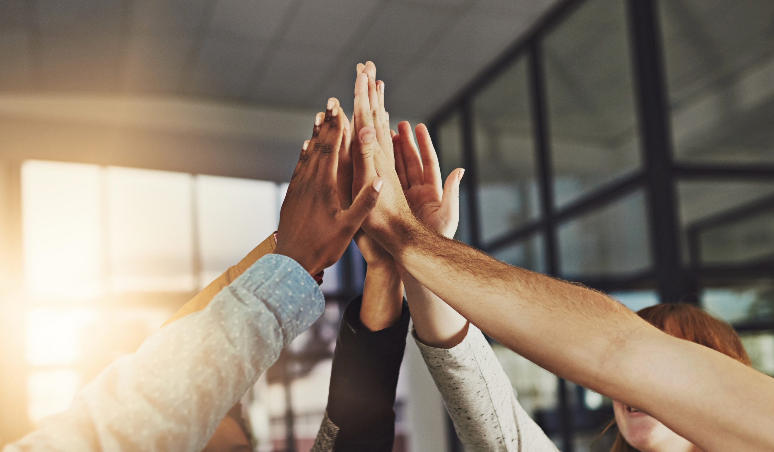 Diverse team giving high-five in sunlit office.