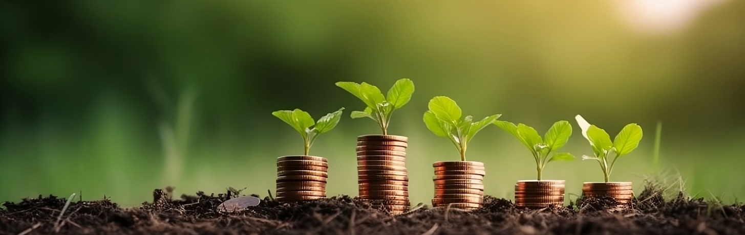 Coins and plants growing in soil.
