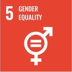 UN Goal 5: Gender Equality symbol.